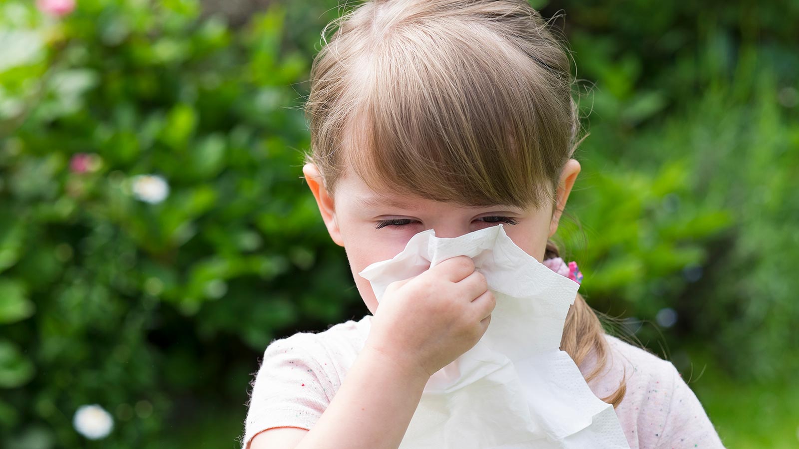 Rinitis, la alergia más común